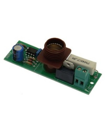 Плата лампы KIARO 24 Came 119RIR030 в Сергиевом Посаде Запчасти для шлагбаумов и автоматики Pintop.ru