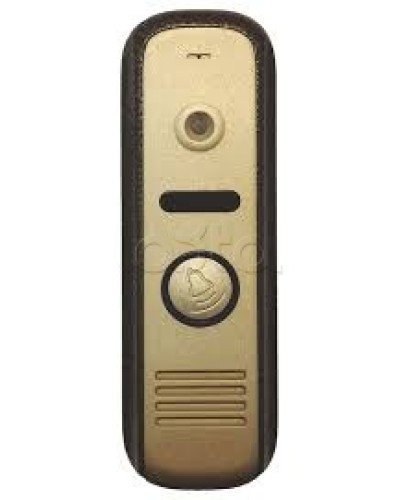 Панель вызывная CTV-D1000HD BA в Сергиевом Посаде Вызывные видеопанели малоабонентные Pintop.ru