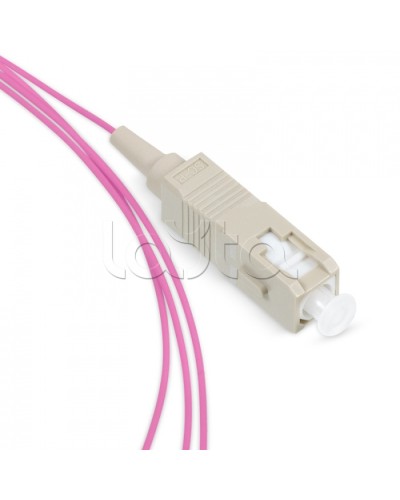 Пигтейл SC 50/125 mm (OM4) 1.5м LSZH Cabeus PT-SC-50-OM4 в Сергиевом Посаде Пигтейлы Pintop.ru