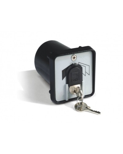 Ключ-выключатель с защитой цилиндра, встраиваемый Came 001SET-K в Сергиевом Посаде Запчасти для шлагбаумов и автоматики Pintop.ru