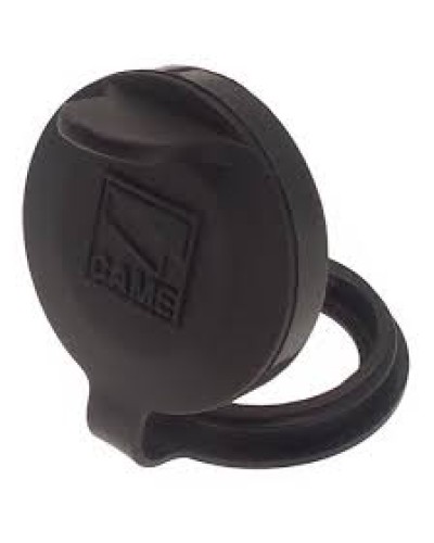 Защита целиндра замка A4366 Came 119RIA051 в Сергиевом Посаде Запчасти для шлагбаумов и автоматики Pintop.ru