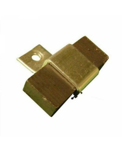 Магнит FROG AE Came 119RIA083 в Сергиевом Посаде Запчасти для шлагбаумов и автоматики Pintop.ru