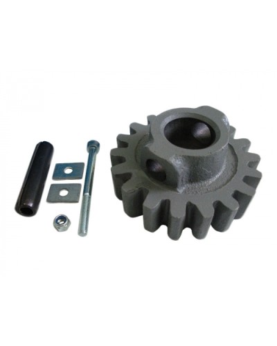 Шестерня ведущая ВК Came 119RIBK002 в Сергиевом Посаде Запчасти для шлагбаумов и автоматики Pintop.ru