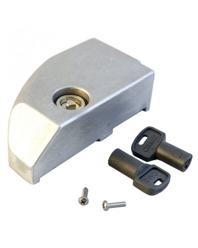 Дверца замка разблокировки BK Came 119RIBK012 в Сергиевом Посаде Запчасти для шлагбаумов и автоматики Pintop.ru