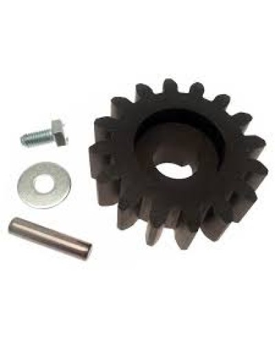 Шестерня для цепной передачи Came 119RIBK036 в Сергиевом Посаде Запчасти для шлагбаумов и автоматики Pintop.ru