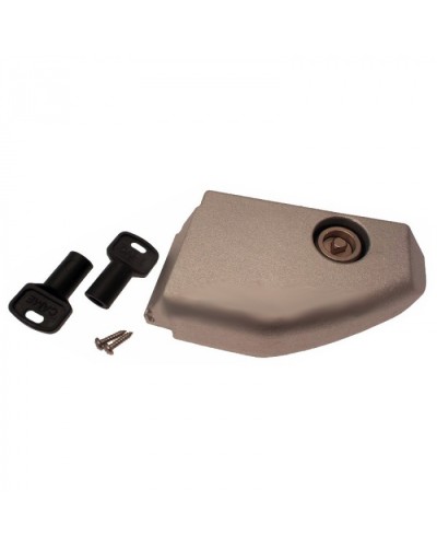 Дверца разблокировки с замком BX Came 119RIBX008 в Сергиевом Посаде Запчасти для шлагбаумов и автоматики Pintop.ru