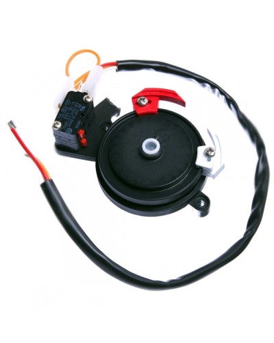 Концевые микровыключатели в сборе BX-243 Came 119RIBX041 в Сергиевом Посаде Запчасти для шлагбаумов и автоматики Pintop.ru