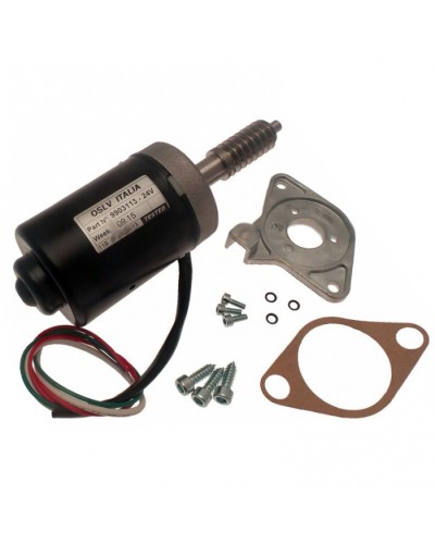 Электродвигатель BX-243 в сборе Came 119RIBX046 в Сергиевом Посаде Запчасти для шлагбаумов и автоматики Pintop.ru