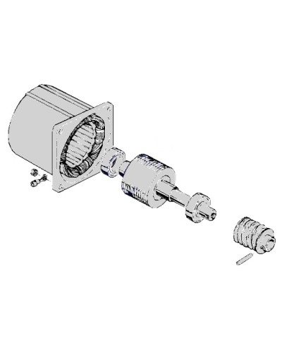 Электродвигатель С-100 Came 119RIC052 в Сергиевом Посаде Запчасти для шлагбаумов и автоматики Pintop.ru
