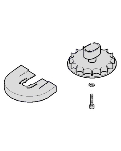 Шестеренка для C001 Came 119RICX004 в Сергиевом Посаде Запчасти для шлагбаумов и автоматики Pintop.ru