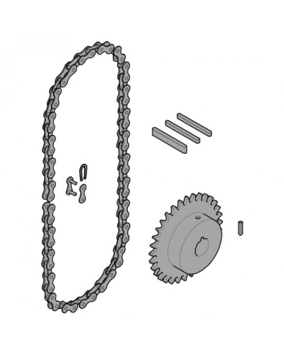 Передающая система (цепь и звездочки) C005 Came 119RICX016 в Сергиевом Посаде Запчасти для шлагбаумов и автоматики Pintop.ru