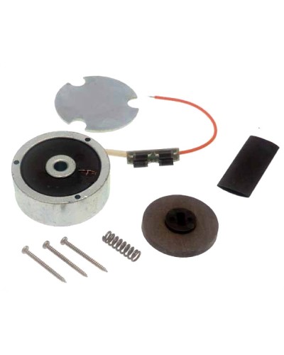 Электромагнит АТI в сборе Came 119RID110 в Сергиевом Посаде Запчасти для шлагбаумов и автоматики Pintop.ru