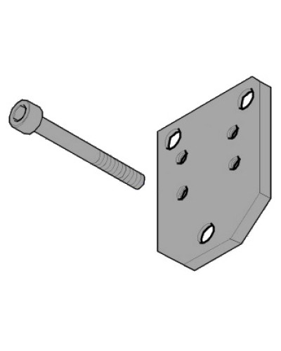 Пластина монтажная FLEX Came 119RID143 в Сергиевом Посаде Запчасти для шлагбаумов и автоматики Pintop.ru