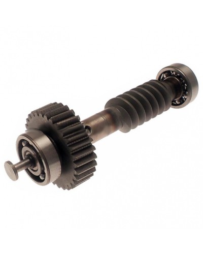 Червяк редуктора FAST в сборе Came 119RID228 в Сергиевом Посаде Запчасти для шлагбаумов и автоматики Pintop.ru