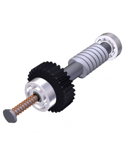 Червяк редуктора FAST40 Came 119RID374 в Сергиевом Посаде Запчасти для шлагбаумов и автоматики Pintop.ru