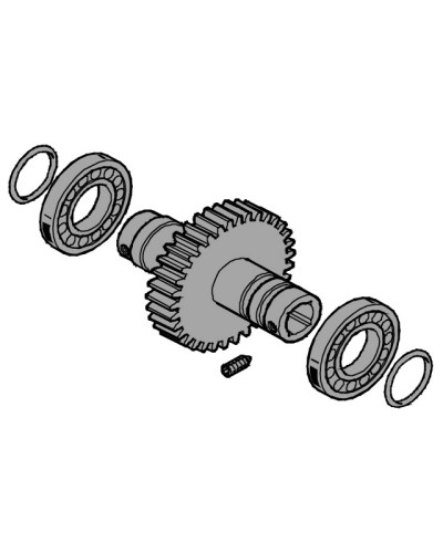 Вал выходной EMEGA Came 119RIE062 в Сергиевом Посаде Запчасти для шлагбаумов и автоматики Pintop.ru