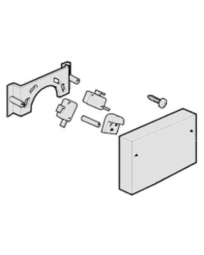 Микровыключатели G4000, G3750 Came 119RIG040 в Сергиевом Посаде Запчасти для шлагбаумов и автоматики Pintop.ru
