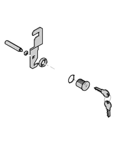 Замок дверцы G4040 G4041 Came 119RIG176 в Сергиевом Посаде Запчасти для шлагбаумов и автоматики Pintop.ru