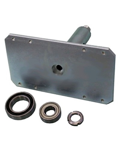 Электромагнит с механизмом разблокировки Came 119RIH022 в Сергиевом Посаде Запчасти для шлагбаумов и автоматики Pintop.ru