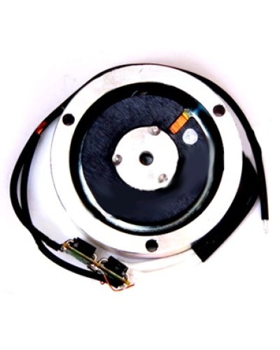 Электромагнит BY1500T Came 119RIY034 в Сергиевом Посаде Запчасти для шлагбаумов и автоматики Pintop.ru