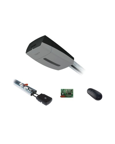 Комплект автоматики для секционных ворот Came V10DMS2.25 KIT (до 2,25 м до 18 м2) в Сергиевом Посаде Автоматизация ворот Pintop.ru