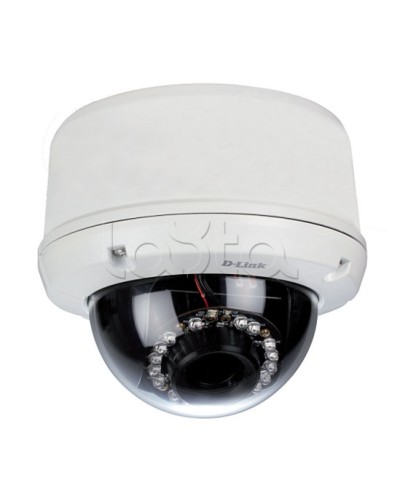 IP-камера видеонаблюдения уличная купольная D-Link DCS-6510/EP в Сергиевом Посаде IP-камеры Pintop.ru