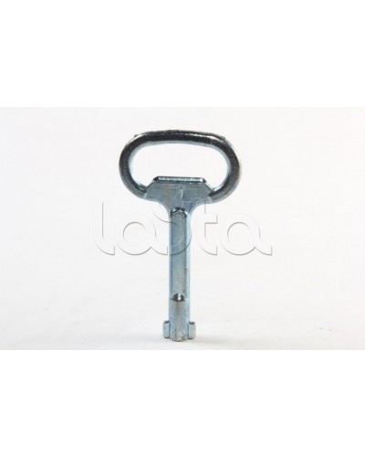 Металлический ключ с двойной бородкой 3мм DKC R5CE230 в Сергиевом Посаде Крепежные изделия Pintop.ru