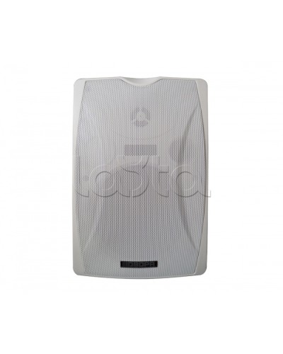 IP-громкоговоритель DSPPA POE-6463W в Сергиевом Посаде Система оповещения и трансляции Dsppa Pintop.ru