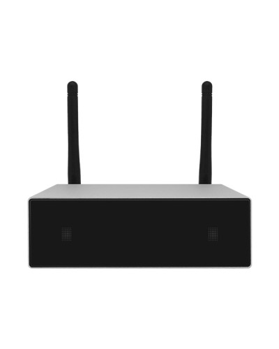 Усилитель потоковой передачи WIFI DSPPA DW-0250 в Сергиевом Посаде Система оповещения и трансляции Dsppa Pintop.ru