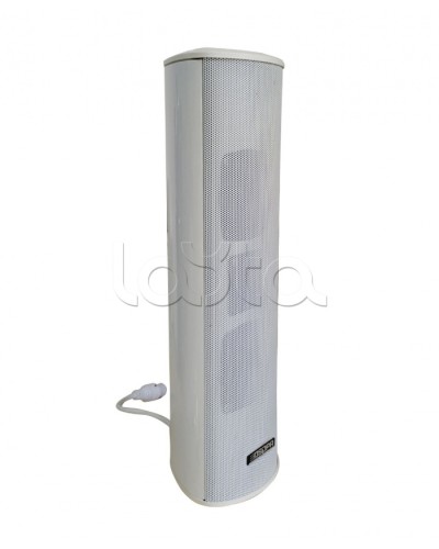 Громкоговоритель DSPPA POE-255 в Сергиевом Посаде Система оповещения и трансляции Dsppa Pintop.ru