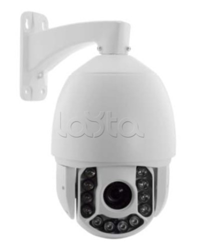 IP-камера видеонаблюдения купольная EverFocus ACE-ATE2033 в Сергиевом Посаде IP-камеры Pintop.ru