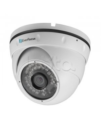 IP-камера видеонаблюдения купольная EverFocus ACE-IAV30 в Сергиевом Посаде IP-камеры Pintop.ru