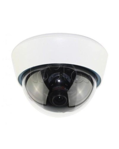 IP-камера видеонаблюдения купольная EverFocus ACE-IOV20A в Сергиевом Посаде IP-камеры Pintop.ru