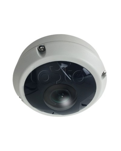 IP-камера видеонаблюдения купольная EverFocus ACE-KU89F в Сергиевом Посаде IP-камеры Pintop.ru