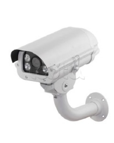 IP-камера видеонаблюдения в стандартном исполнении EverFocus ACE-PAV20F в Сергиевом Посаде IP-камеры Pintop.ru