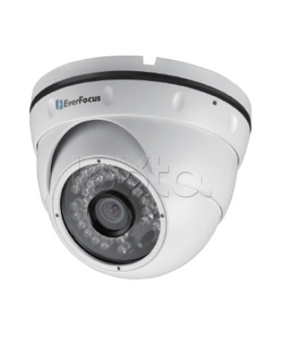 IP-камера видеонаблюдения уличная купольная EverFocus EBN-268 в Сергиевом Посаде IP-камеры Pintop.ru