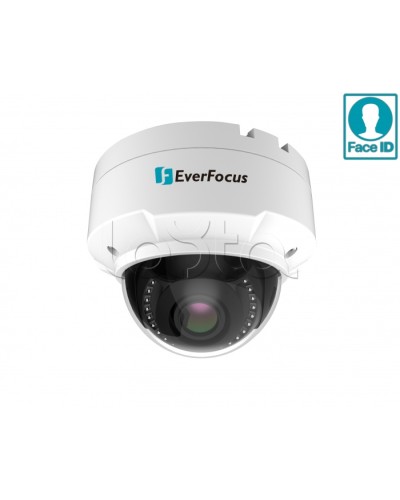 IP-камера видеонаблюдения купольная EverFocus EHN-2550 в Сергиевом Посаде IP-камеры Pintop.ru