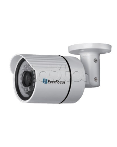 IP-камера видеонаблюдения уличная в стандартном исполнении EverFocus EZN-268 в Сергиевом Посаде IP-камеры Pintop.ru