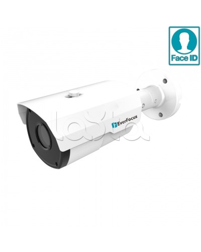 IP-камера видеонаблюдения в стандартном исполнении EverFocus EZN-2850 в Сергиевом Посаде IP-камеры Pintop.ru