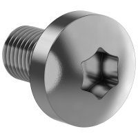 Винт М6х10 IEK (FO-00D-VTORX-M6X10-050)