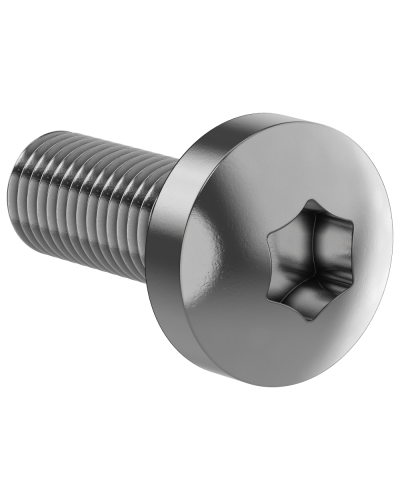 Винт М6х16 IEK (FO-00D-VTORX-M6X16-020) в Сергиевом Посаде Аксессуары для стоек и шкафов Pintop.ru