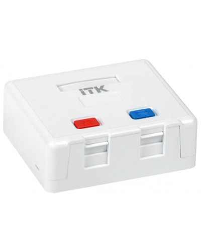 Корпус настенной розетки для 2 мод. Keystone Jack ITK (CS2-022) в Сергиевом Посаде Коннекторы Pintop.ru