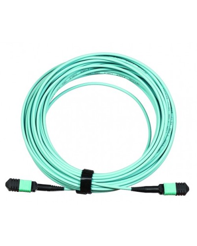 Сборка кабельная LANMASTER (LAN-12M-12M/OM3B-20) в Сергиевом Посаде Коннекторы Pintop.ru