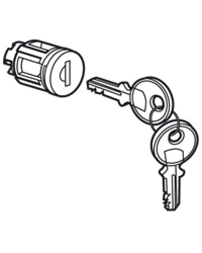 Цилиндр встроенный под ключ №405 Legrand 020291 в Сергиевом Посаде Дополнительное оборудование для сетей Pintop.ru