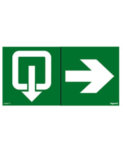 Пиктограмма 100х200 эвакуация стрелка Legrand 661671 в Сергиевом Посаде Дополнительное оборудование для ОПС Pintop.ru
