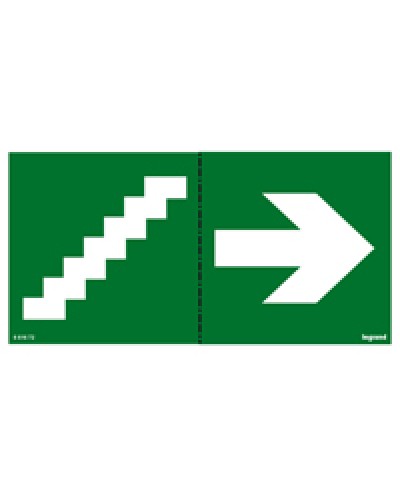 Пиктограмма 100х200 лестница стрелка Legrand 661672 в Сергиевом Посаде Дополнительное оборудование для ОПС Pintop.ru