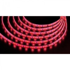 Лента светодиодная Navigator 80 305 NLS-3528R60-4.8-IP65-12V-Pro R5