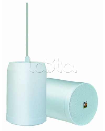 Громкоговоритель встраиваемый ROXTON SP-20T в Сергиевом Посаде Система оповещения и трансляции Roxton Pintop.ru