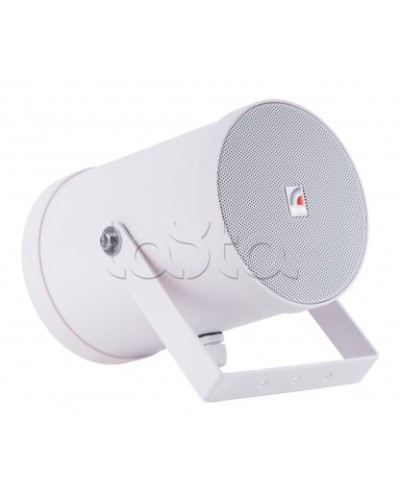 Двунаправленный Прожектор звуковой ROXTON SW-10T2 в Сергиевом Посаде Система оповещения и трансляции Roxton Pintop.ru