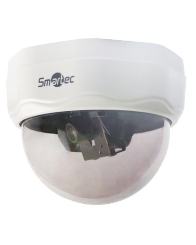 Камера видеонаблюдения купольная Smartec STC-3506/1 в Сергиевом Посаде Системы видеонаблюдения Pintop.ru